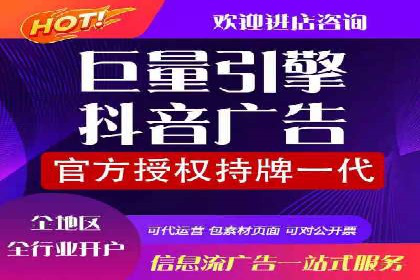 竞价排名与自然排名的对比案例