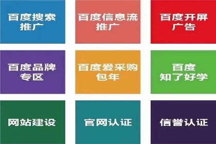 案例分析：SEM推广助力行业竞争突围